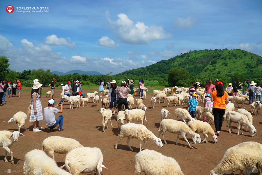 Địa điểm du lịch Đồi Cừu Suối Nghệ Bà Rịa Vũng Tàu
